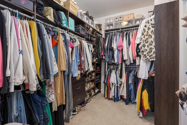 walk in closet featuring carpet flooring