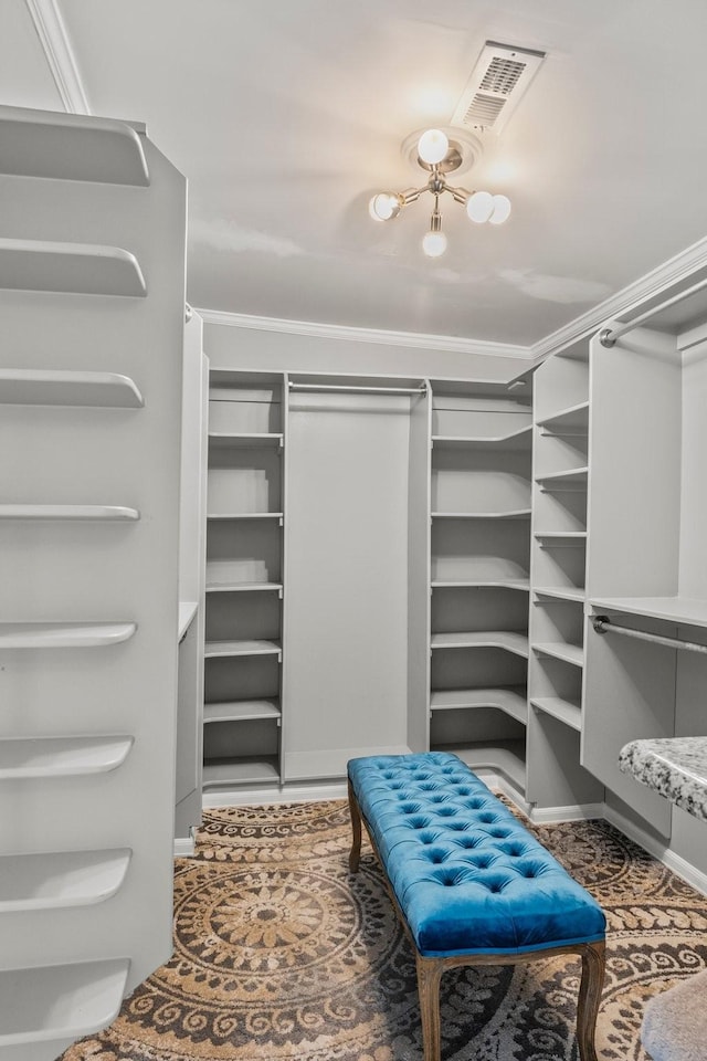 walk in closet with visible vents