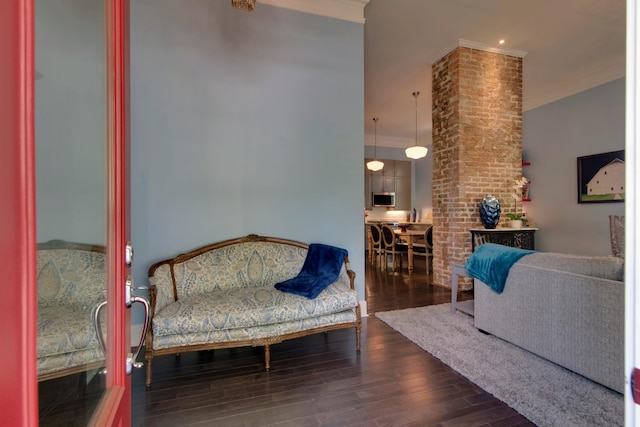 living area with dark wood-style floors and crown molding