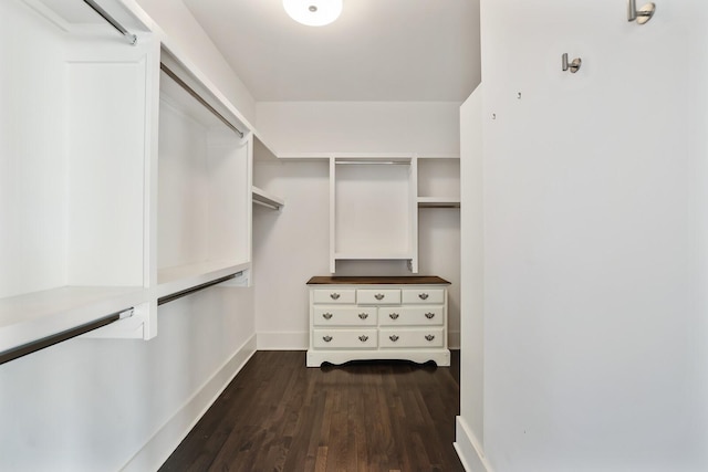 walk in closet featuring dark wood-style flooring