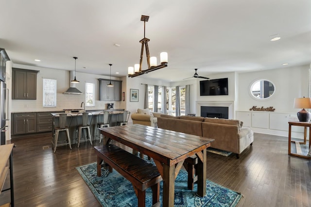 dining room featuring plenty of natural light, dark wood-style flooring, and a fireplace