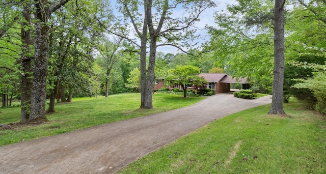 view of front of home with driveway, brick siding, and a front yard