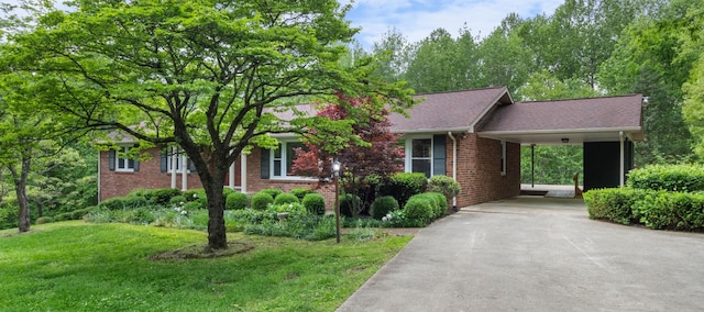 ranch-style house with concrete driveway, a carport, brick siding, and a front yard