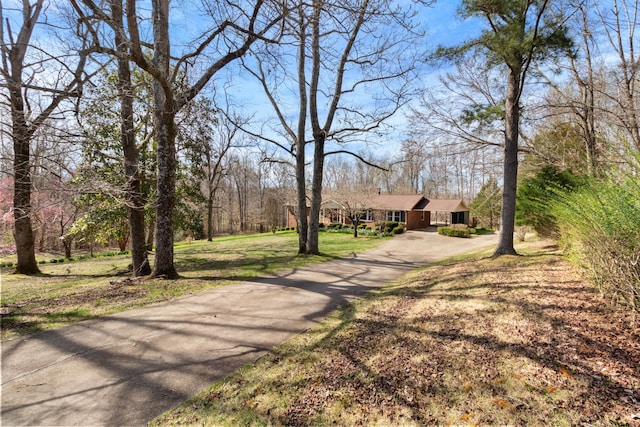 view of road featuring aphalt driveway