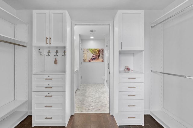 spacious closet with visible vents and dark wood-style flooring