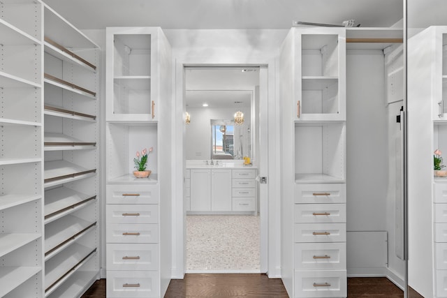 spacious closet featuring a sink and dark wood-style flooring