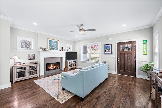 living room with a fireplace with flush hearth, ornamental molding, dark wood finished floors, recessed lighting, and baseboards