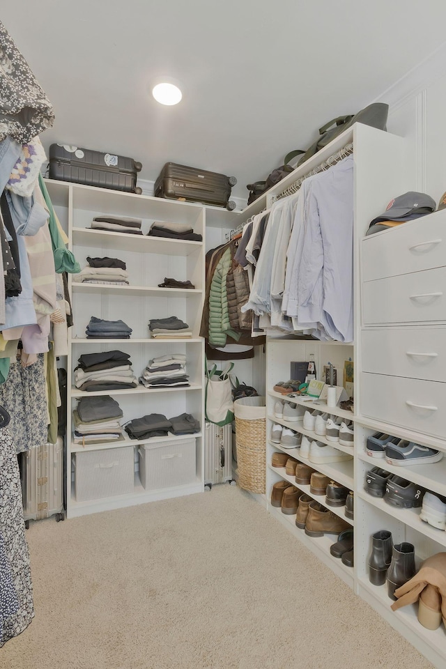 spacious closet featuring carpet