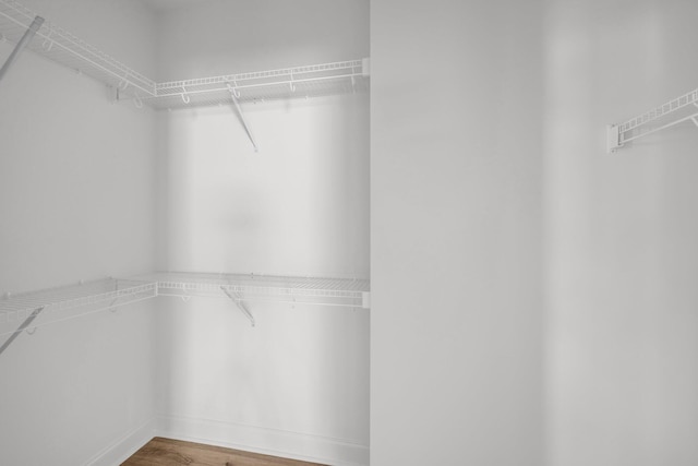 walk in closet featuring wood finished floors