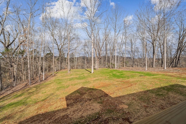 view of yard with a wooded view