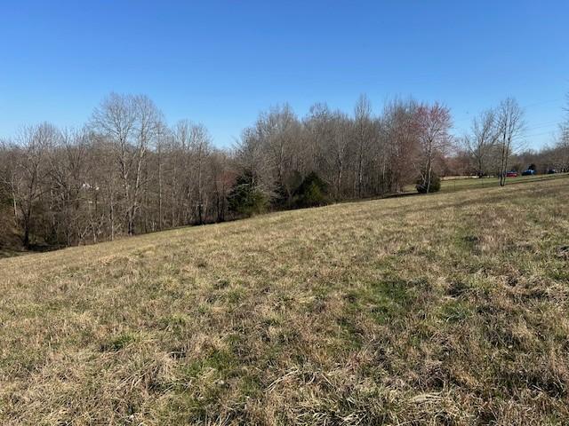 0 Freeman Loop, Cumberland Furnace, TN 37051