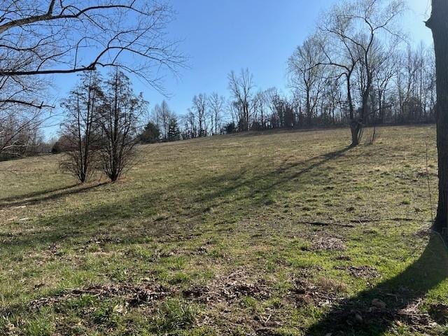 0 Freeman Loop, Cumberland Furnace, TN 37051