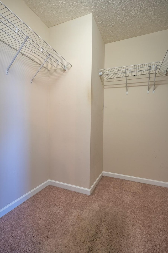 walk in closet with carpet flooring