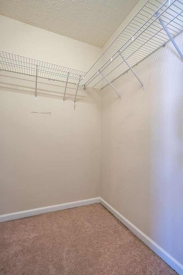 spacious closet featuring light colored carpet