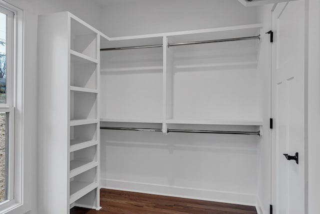 spacious closet featuring dark wood-type flooring