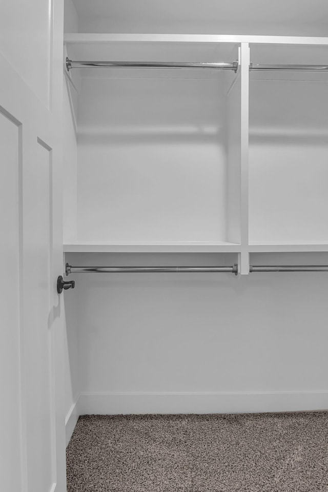 spacious closet featuring carpet flooring