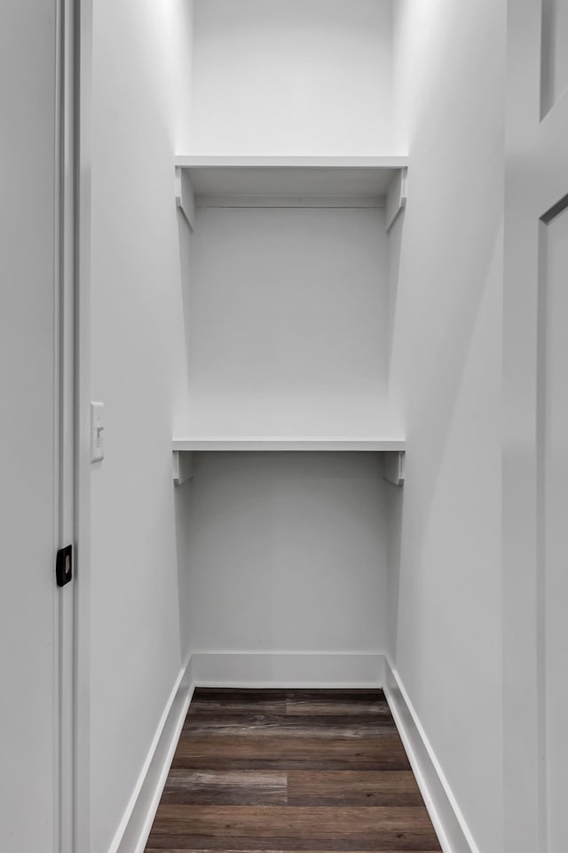 spacious closet with dark wood-type flooring