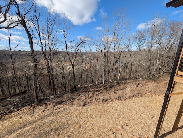 view of local wilderness