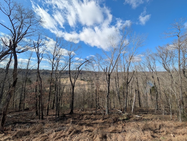 view of local wilderness with a view of trees