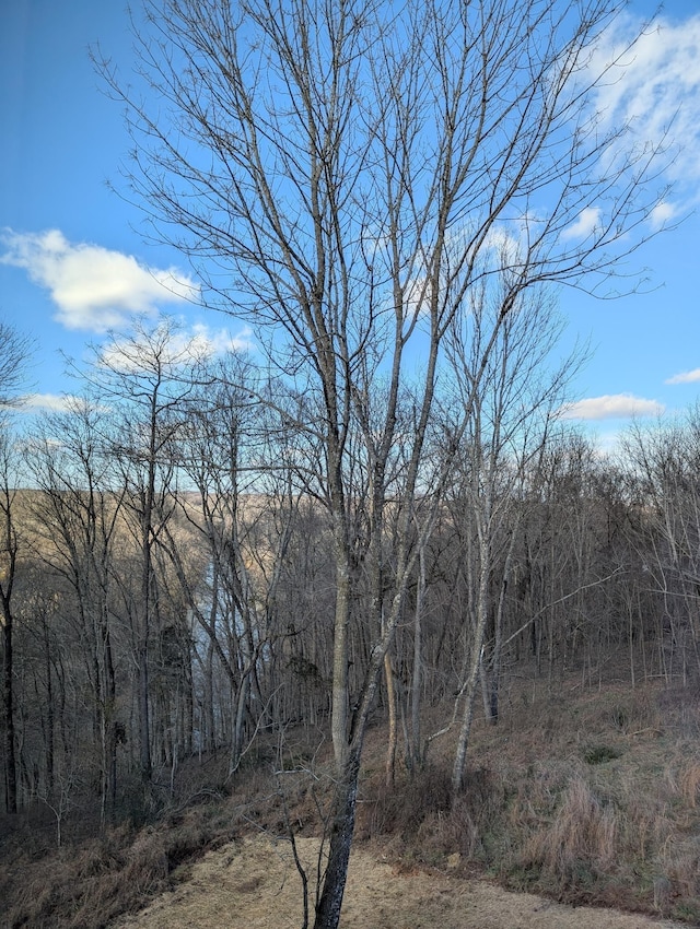 property view of mountains featuring a view of trees