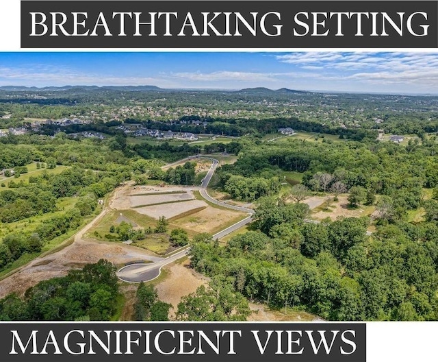 aerial view featuring a forest view