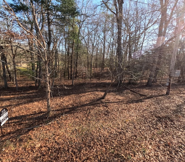 14 Beachwood Ct, Crossville, TN 38558 - photo 3