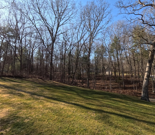 14 Beachwood Ct, Crossville, TN 38558 - photo 11