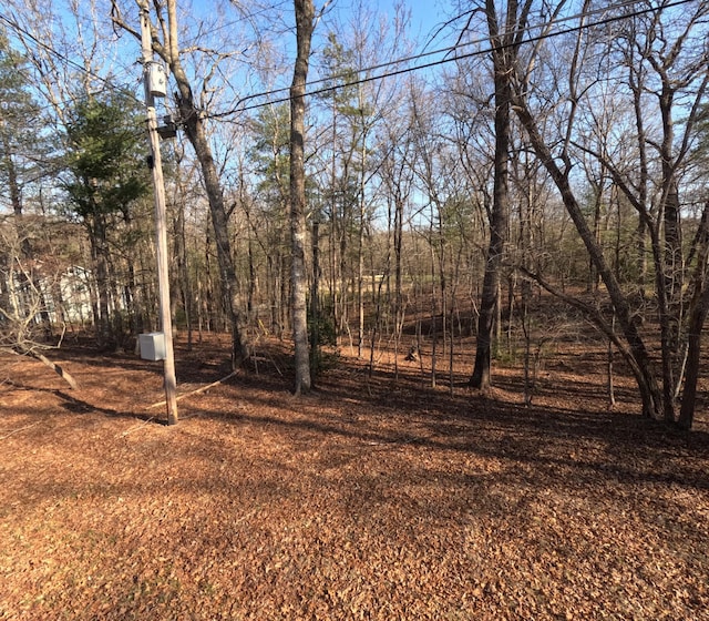 14 Beachwood Ct, Crossville, TN 38558 - photo 13