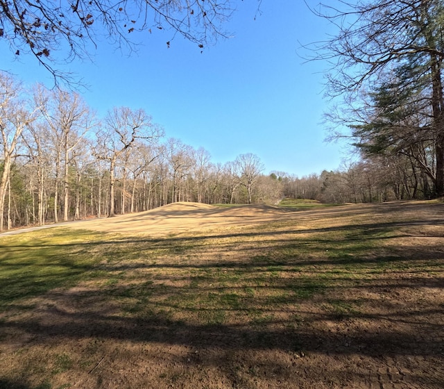 14 Beachwood Ct, Crossville, TN 38558 - photo 8