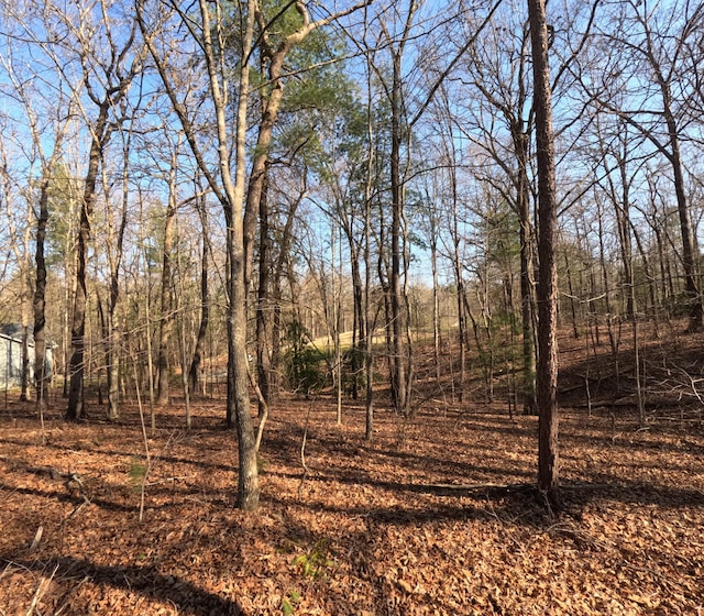 14 Beachwood Ct, Crossville, TN 38558 - photo 7