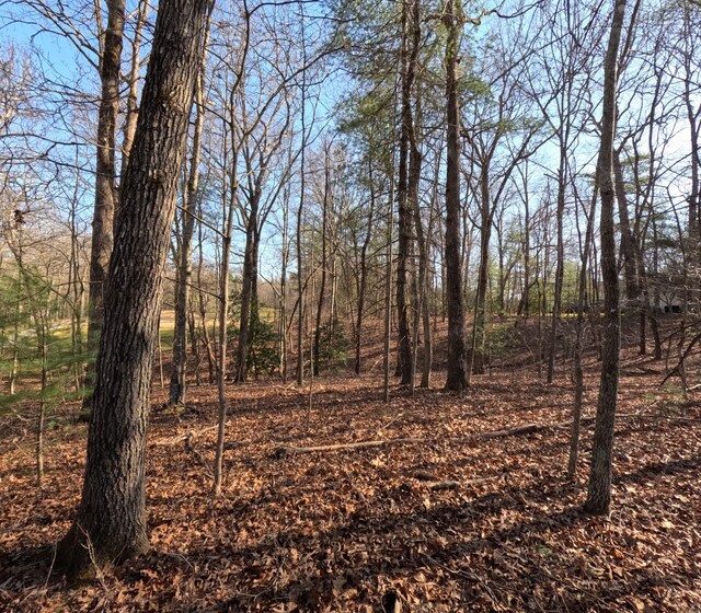 14 Beachwood Ct, Crossville, TN 38558 - photo 6