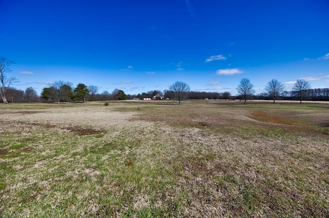 view of yard featuring a rural view