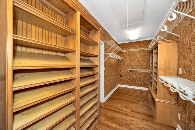 spacious closet with attic access and dark wood finished floors