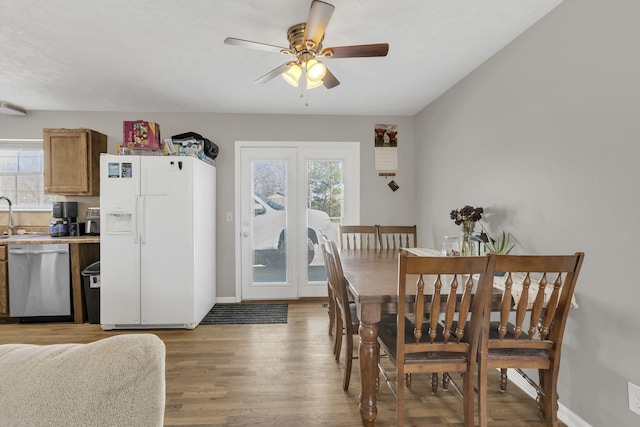 dining space featuring wood finished floors, a healthy amount of sunlight, and baseboards