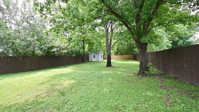 view of yard with an outbuilding, a storage unit, and a fenced backyard