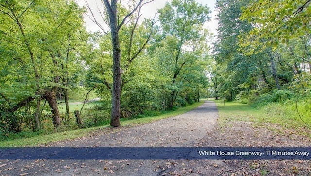 view of road featuring a wooded view