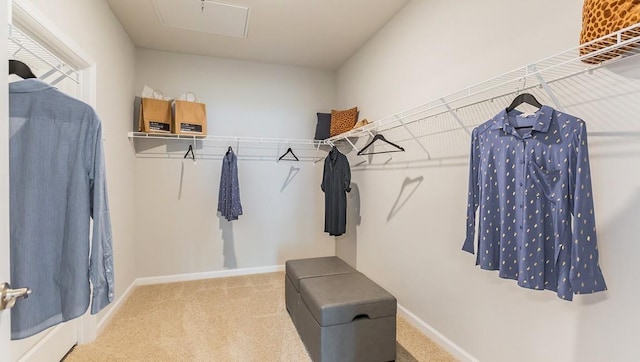 spacious closet with carpet floors