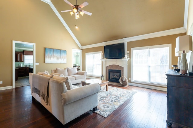 living room featuring dark wood finished floors, plenty of natural light, a fireplace, and crown molding