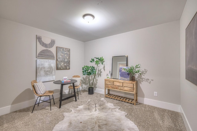 living area featuring baseboards and carpet flooring