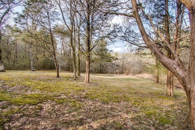 view of yard with a wooded view