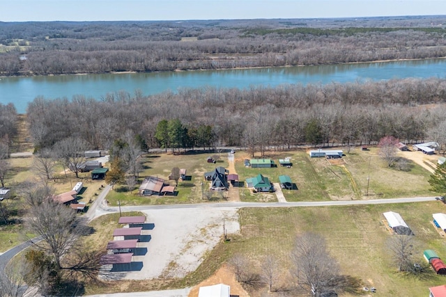 bird's eye view featuring a water view and a view of trees