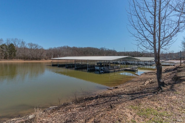 view of dock featuring a water view