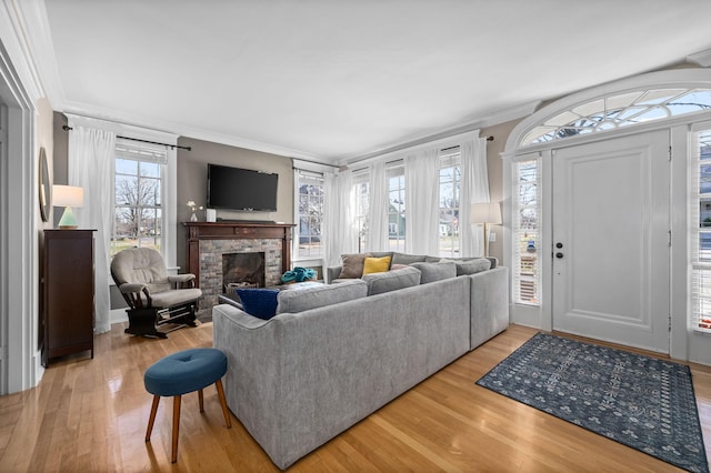 living area featuring wood finished floors, a fireplace, and ornamental molding