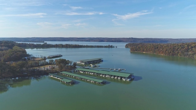 birds eye view of property with a view of trees and a water view