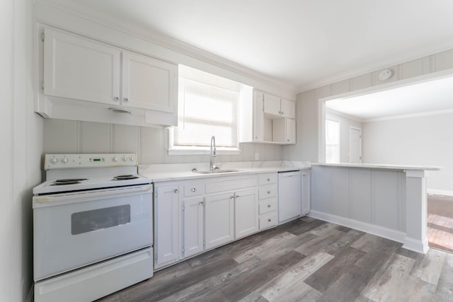 kitchen featuring ornamental molding, wood finished floors, white cabinets, white appliances, and a sink