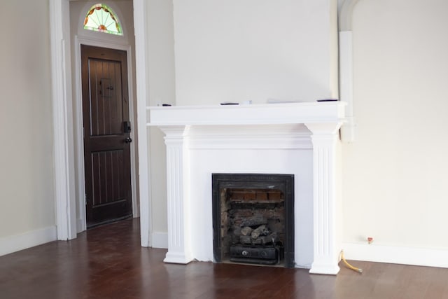 details featuring wood finished floors and a fireplace