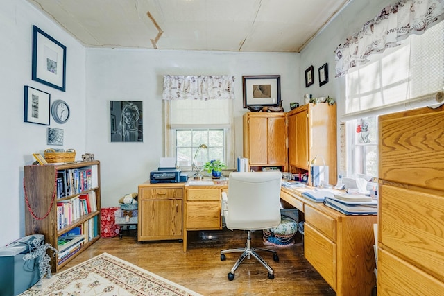 home office featuring wood finished floors