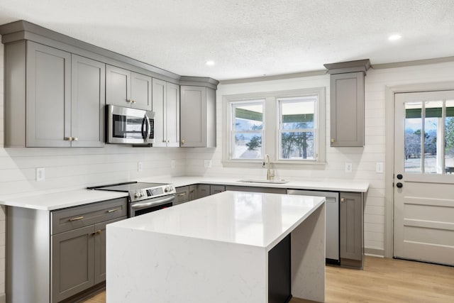 kitchen featuring a sink, gray cabinets, and stainless steel appliances