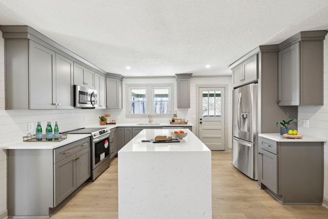 kitchen with a sink, appliances with stainless steel finishes, and gray cabinetry