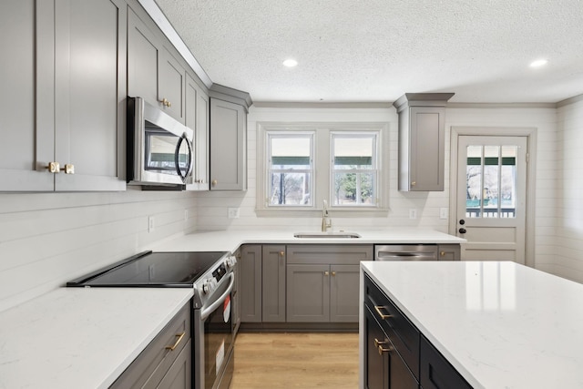 kitchen featuring a sink, stainless steel appliances, a wealth of natural light, and gray cabinets